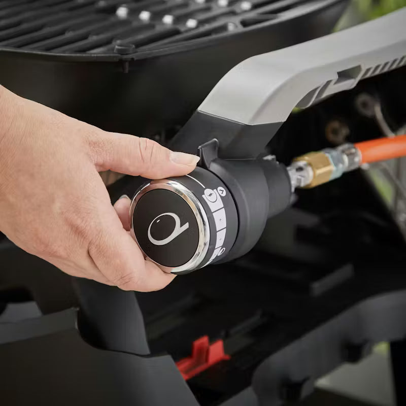 BARBECUE A GAS WEBER Q 1200N CON RIPIANI LATERALI E SUPPORTO